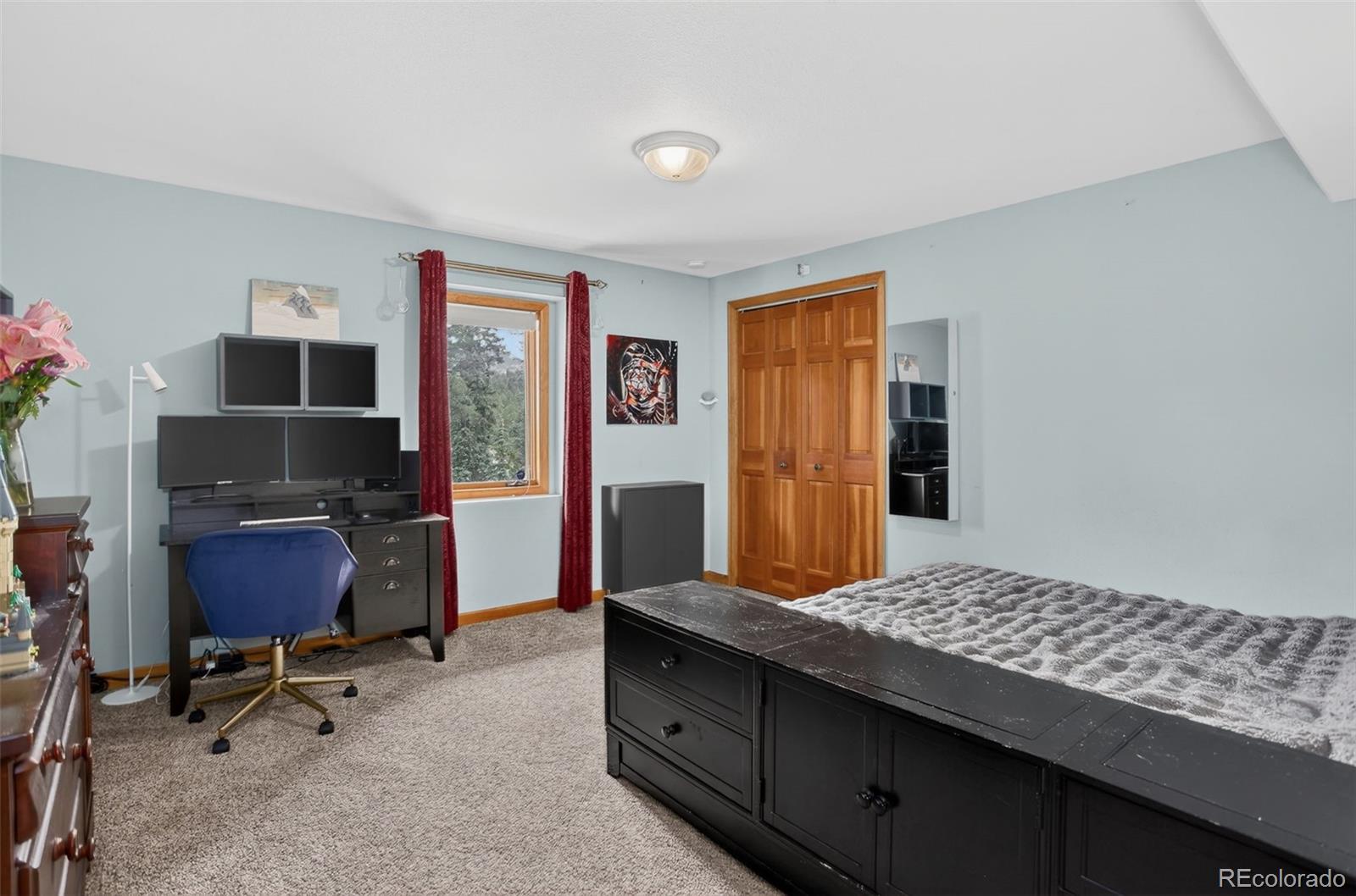 MLS Image #40 for 136  nova lane,pine, Colorado