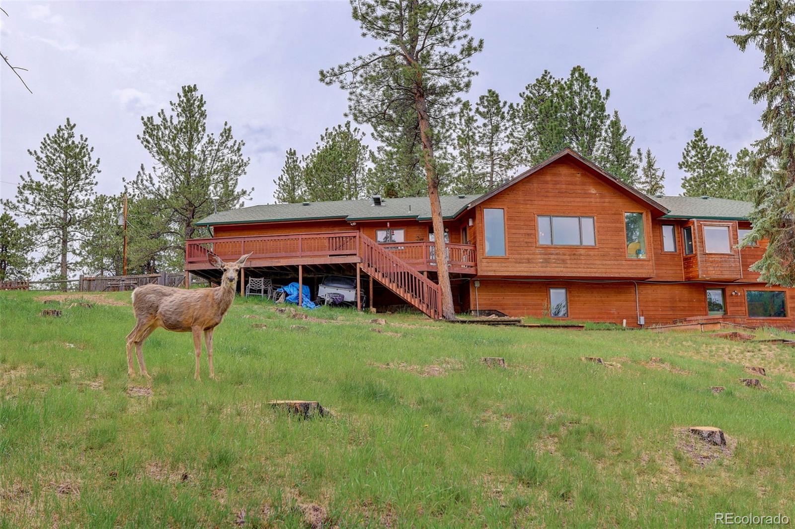 MLS Image #43 for 136  nova lane,pine, Colorado