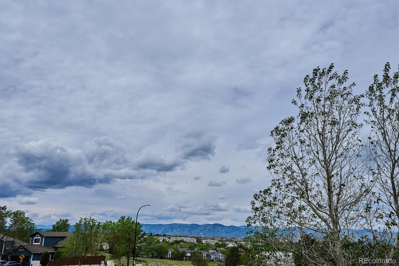 MLS Image #25 for 525  lindenwood court,highlands ranch, Colorado