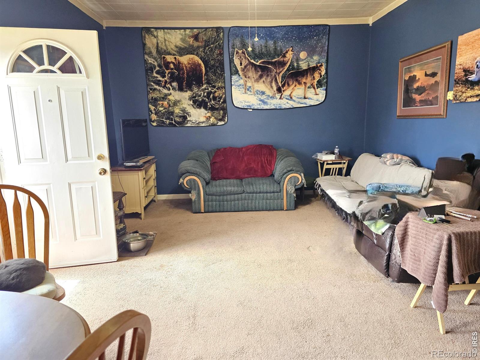 MLS Image #4 for 305 w 1st avenue,iliff, Colorado
