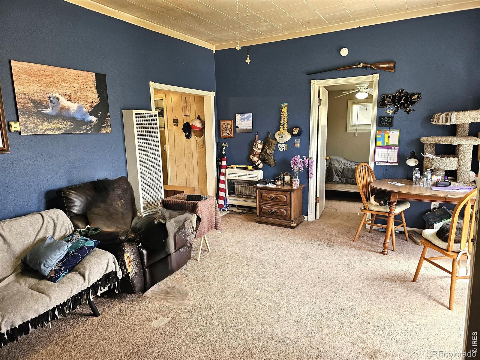 MLS Image #5 for 305 w 1st avenue,iliff, Colorado