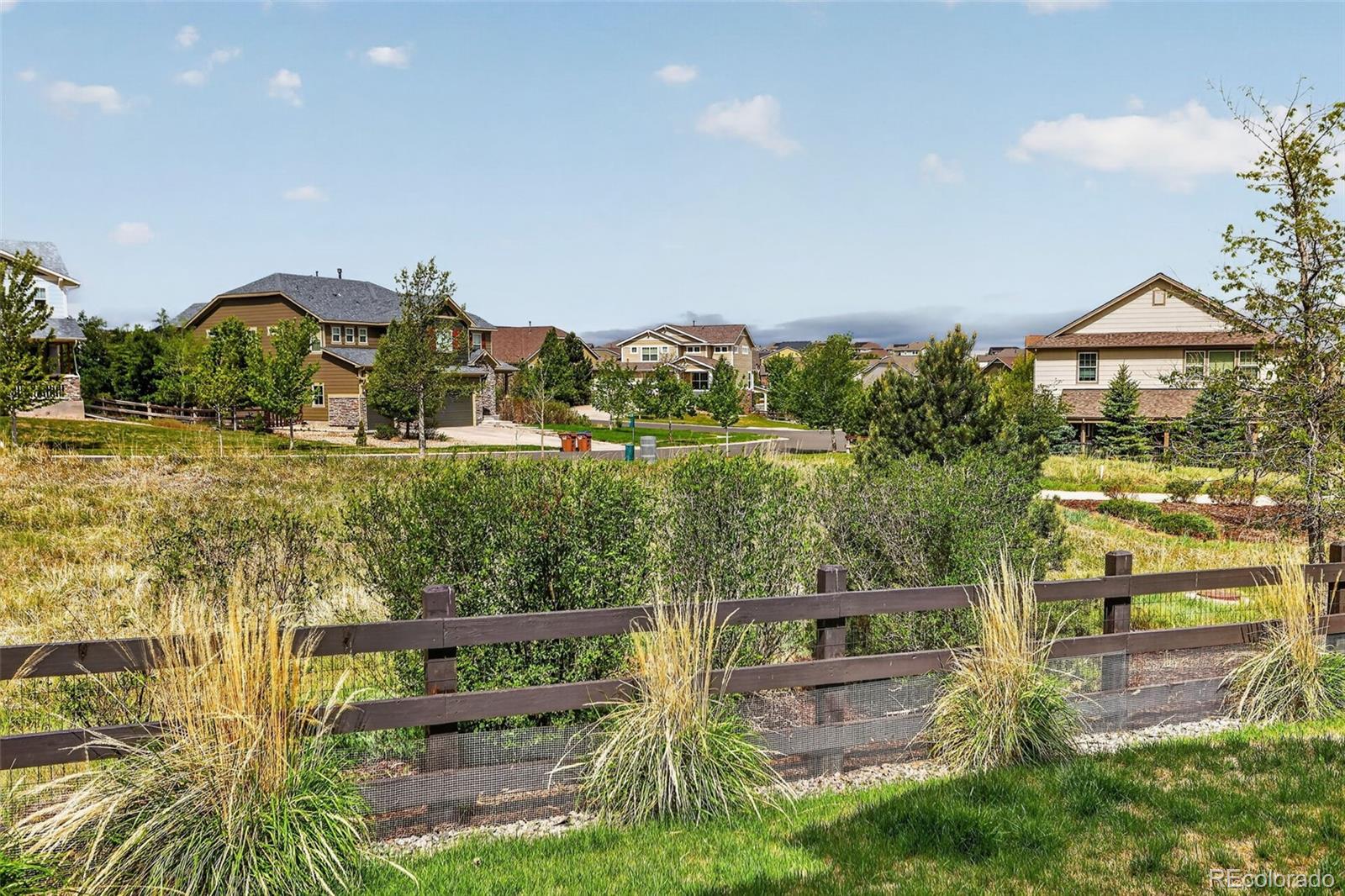 MLS Image #29 for 8977 s catawba street,aurora, Colorado