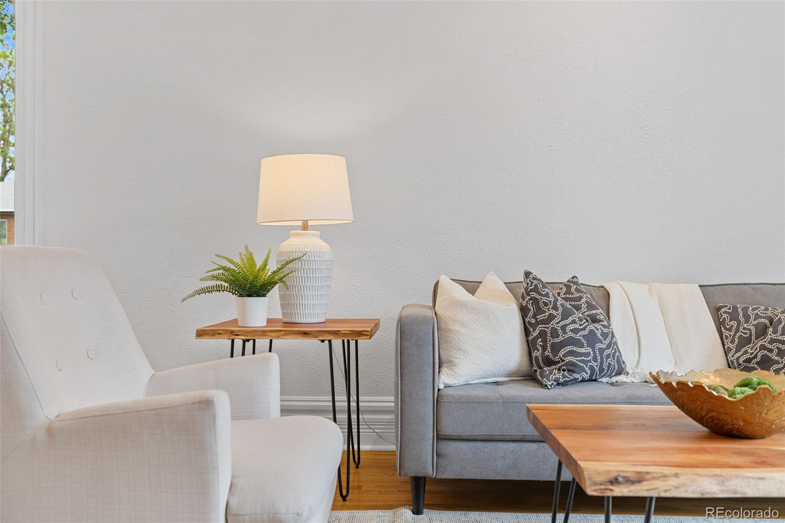 MLS Image #8 for 3857  shoshone street,denver, Colorado