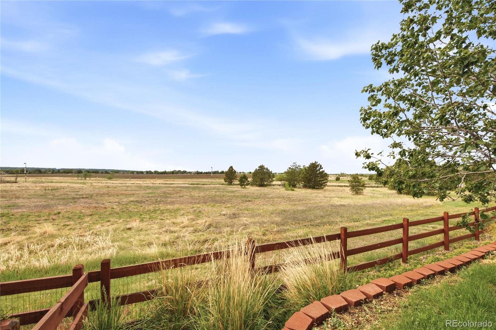 MLS Image #39 for 4300  red deer trail,broomfield, Colorado