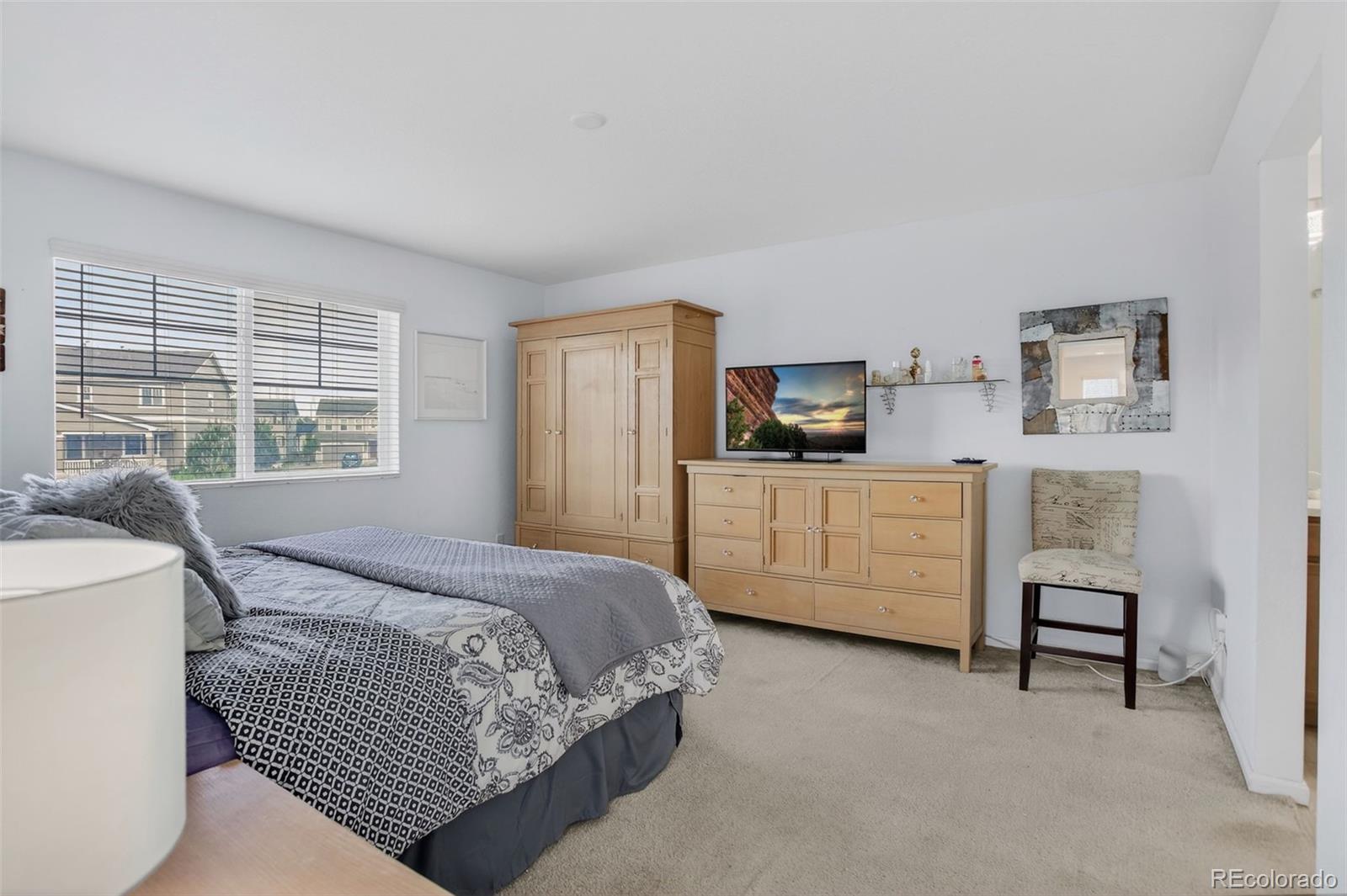 MLS Image #17 for 4661 s malaya court,aurora, Colorado