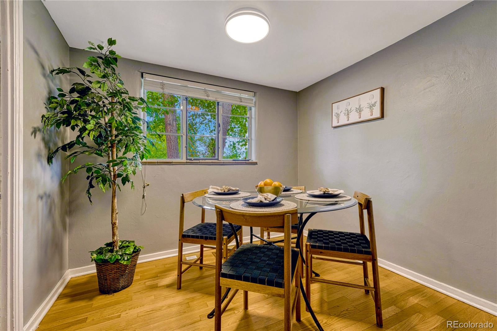 MLS Image #18 for 1103  kearney street,denver, Colorado