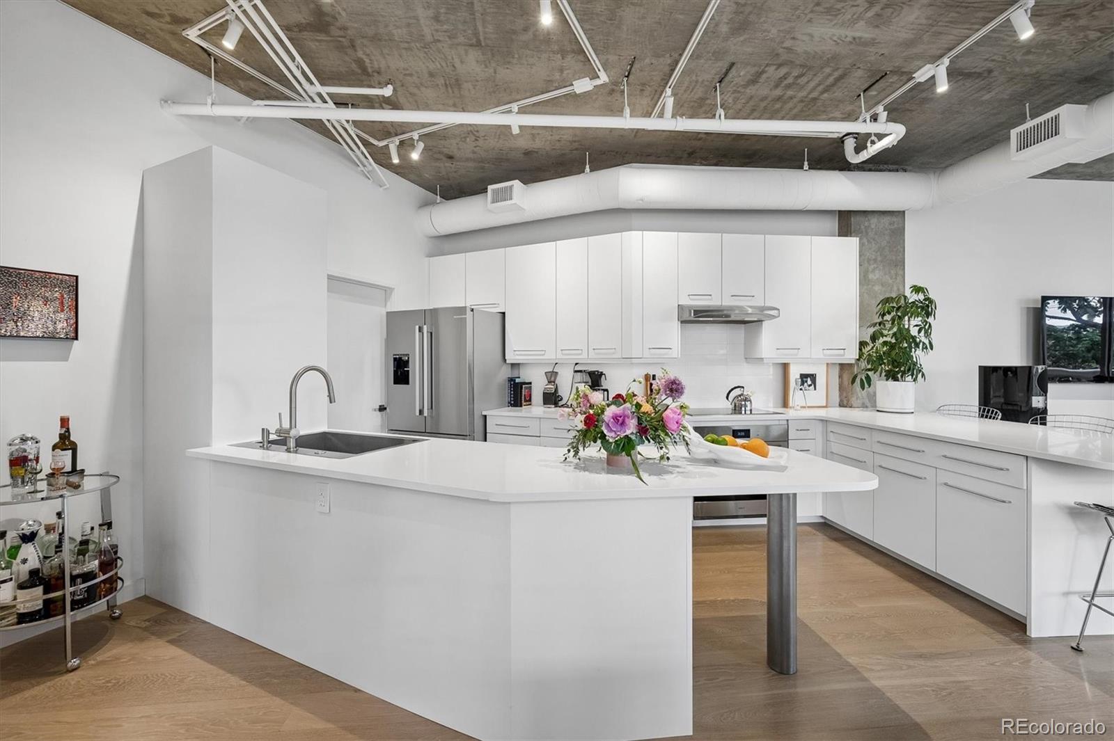 MLS Image #2 for 290 w 12th avenue,denver, Colorado