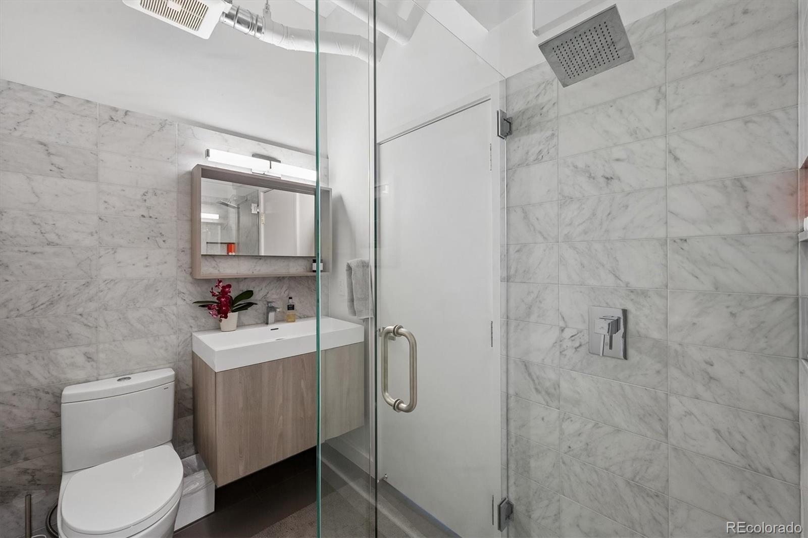 MLS Image #22 for 290 w 12th avenue,denver, Colorado