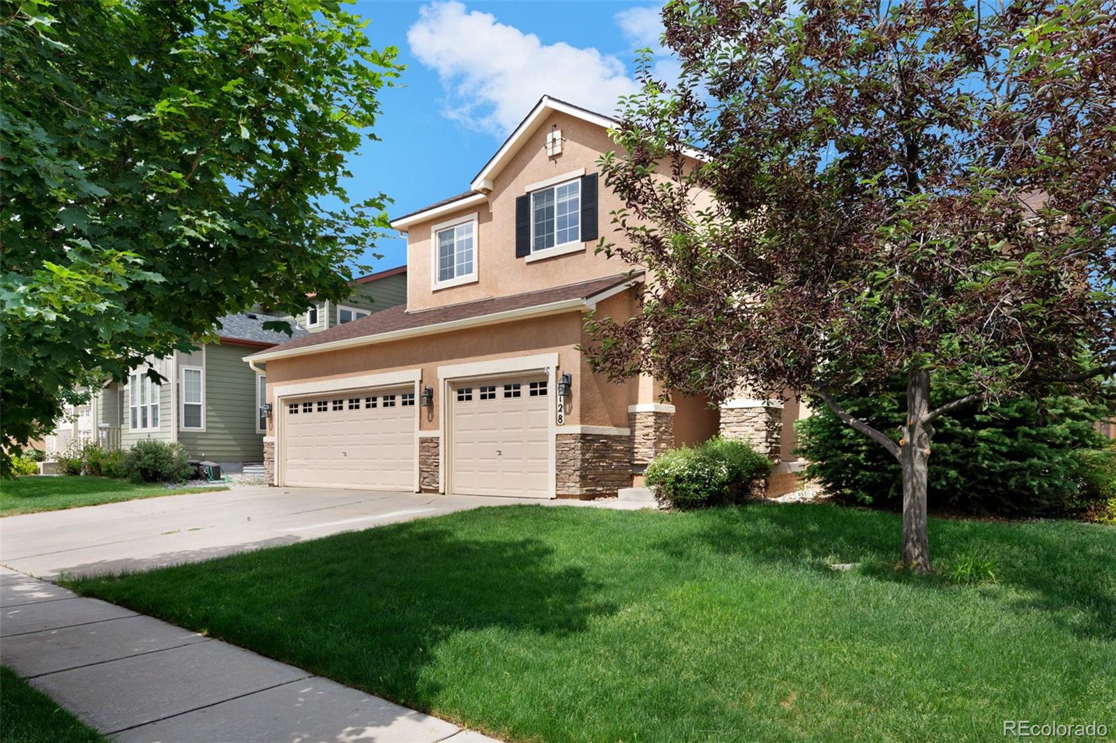 MLS Image #44 for 6128  mountain brook street,colorado springs, Colorado
