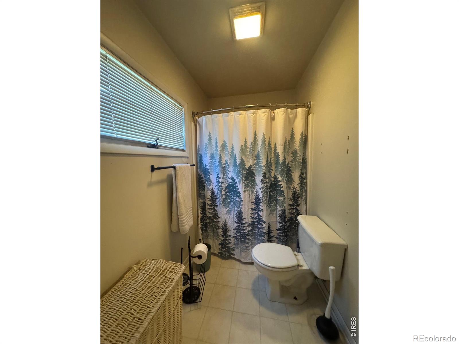 MLS Image #11 for 652  washington street,walden, Colorado
