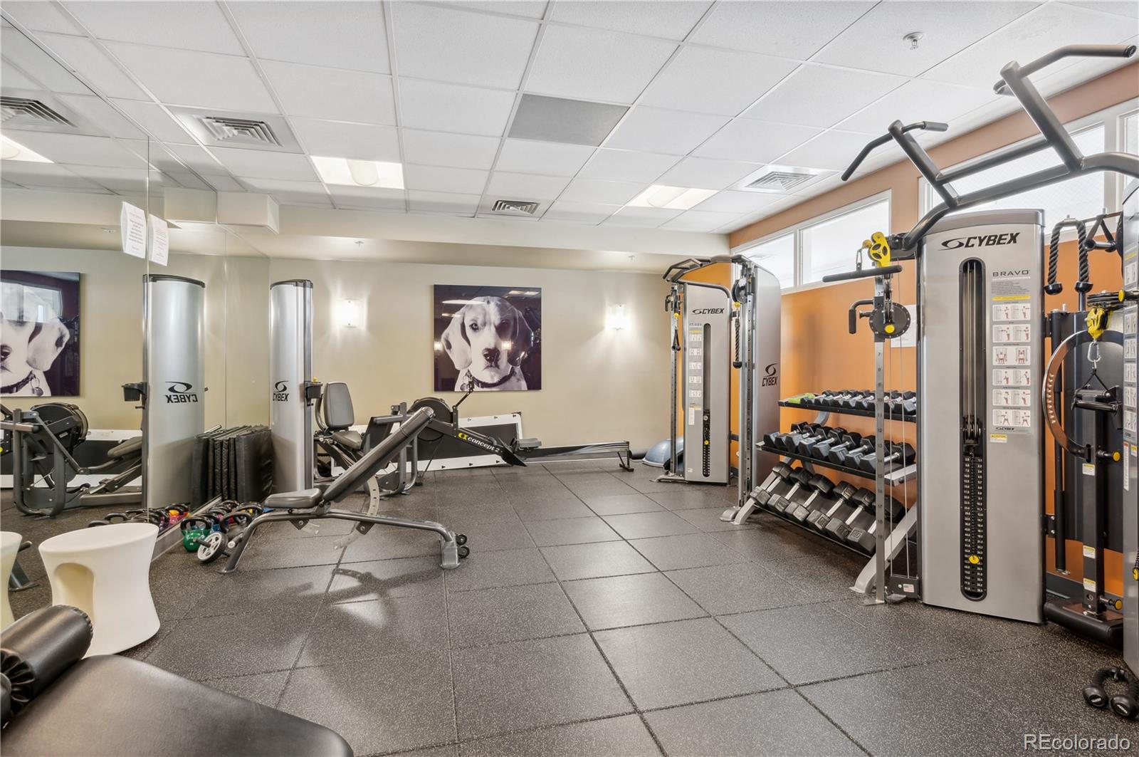 MLS Image #25 for 410  acoma street 609,denver, Colorado