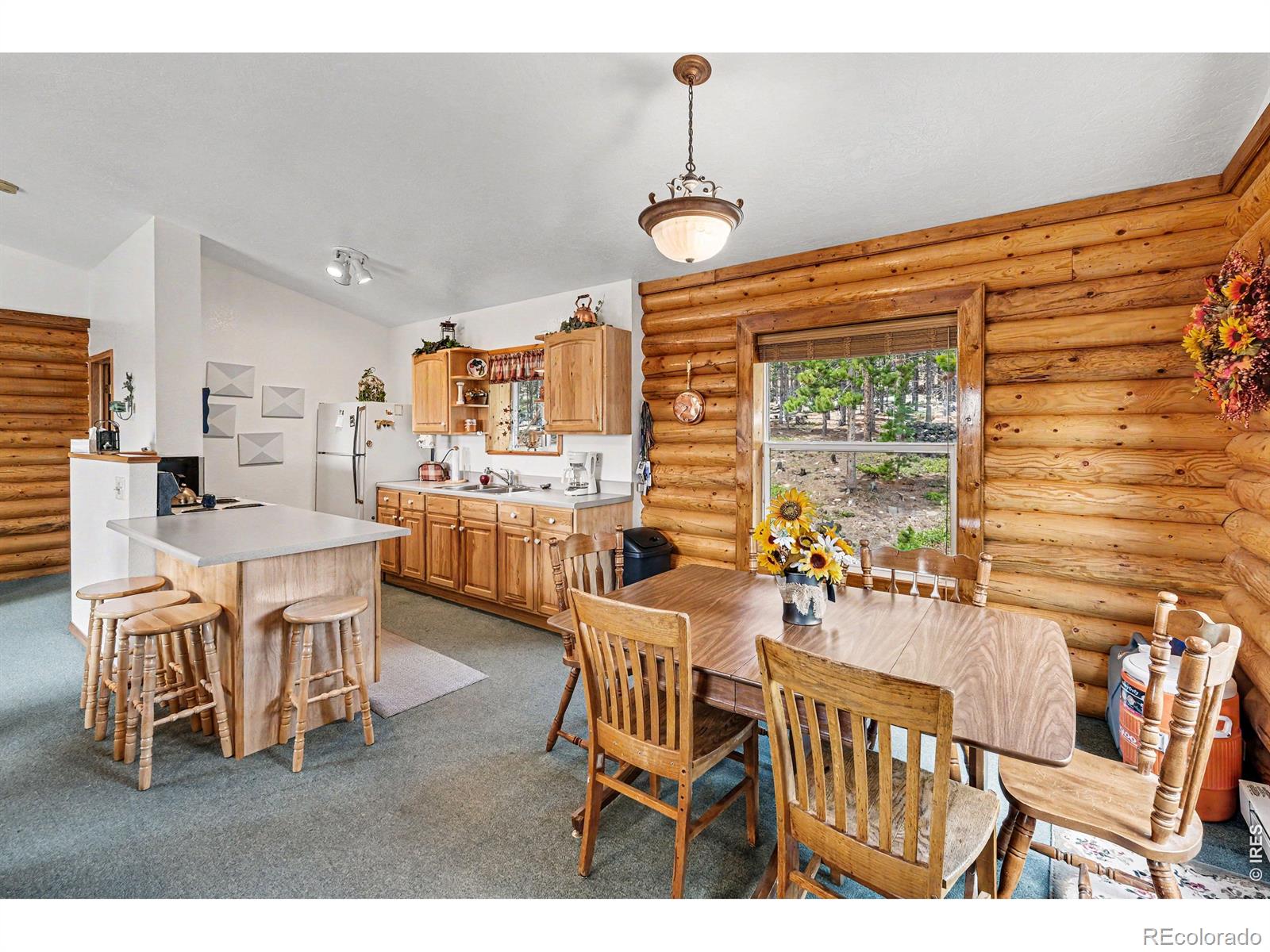 MLS Image #12 for 321  shasta way,red feather lakes, Colorado