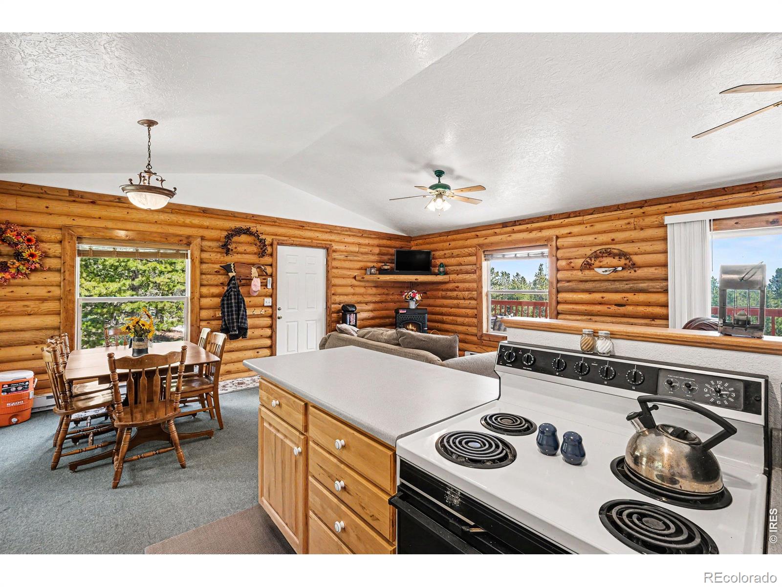 MLS Image #4 for 321  shasta way,red feather lakes, Colorado