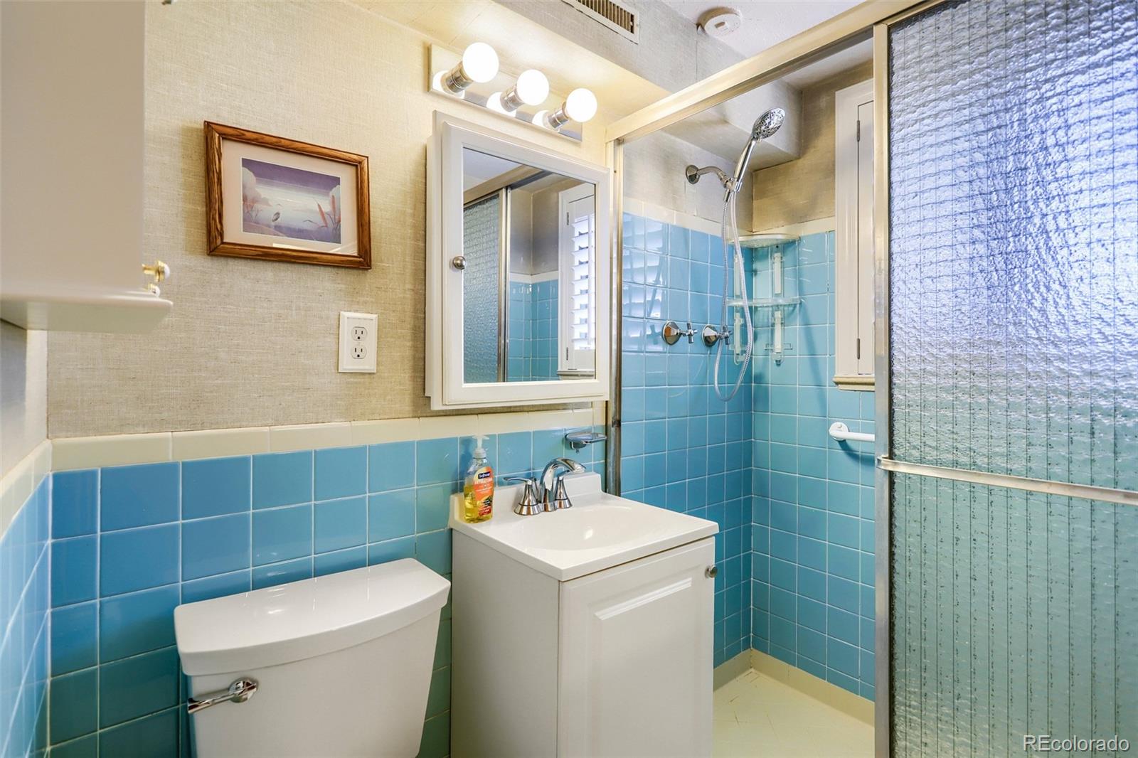 MLS Image #11 for 2009 s winona court,denver, Colorado