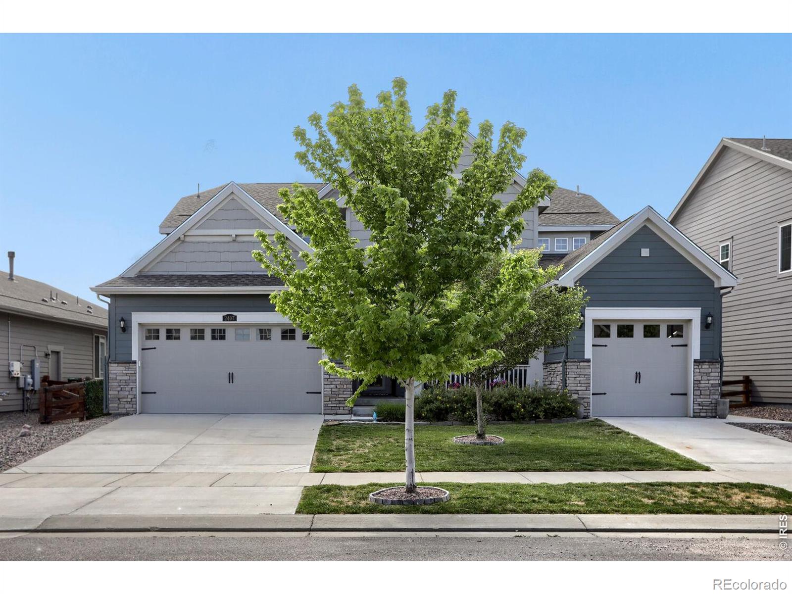 MLS Image #2 for 2407  tyrrhenian circle,longmont, Colorado