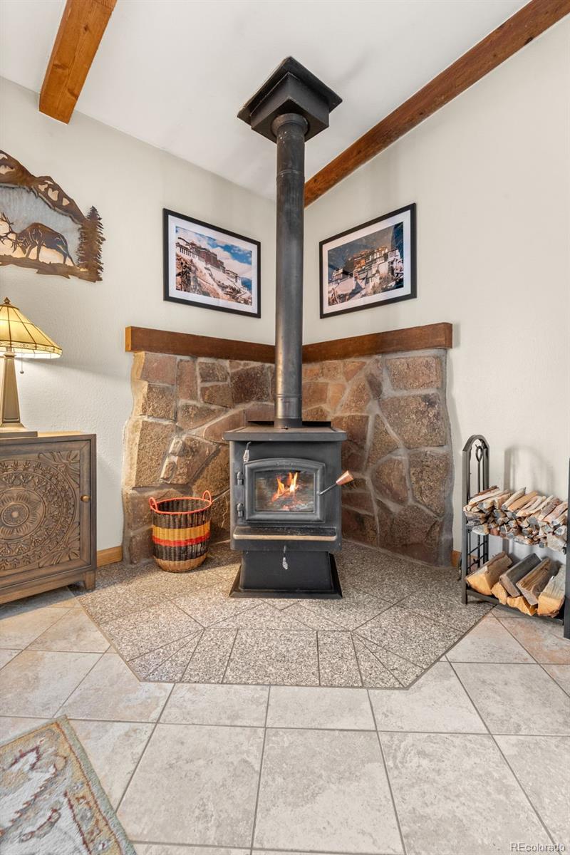 MLS Image #15 for 181  catamount ridge road,bailey, Colorado