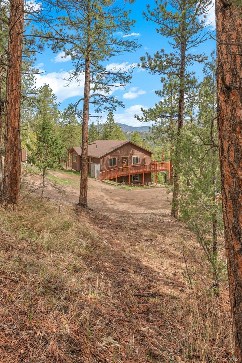 MLS Image #5 for 181  catamount ridge road,bailey, Colorado