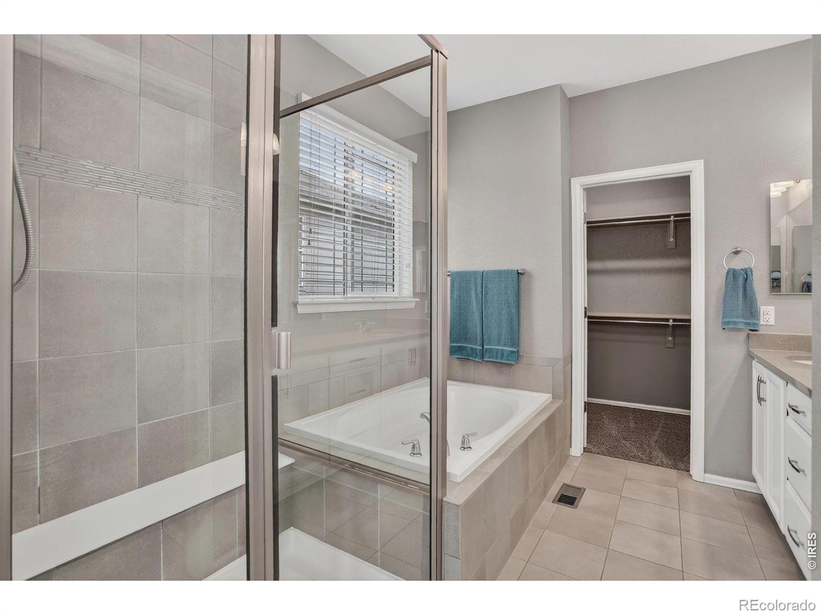 MLS Image #11 for 1194 w 170th place,broomfield, Colorado