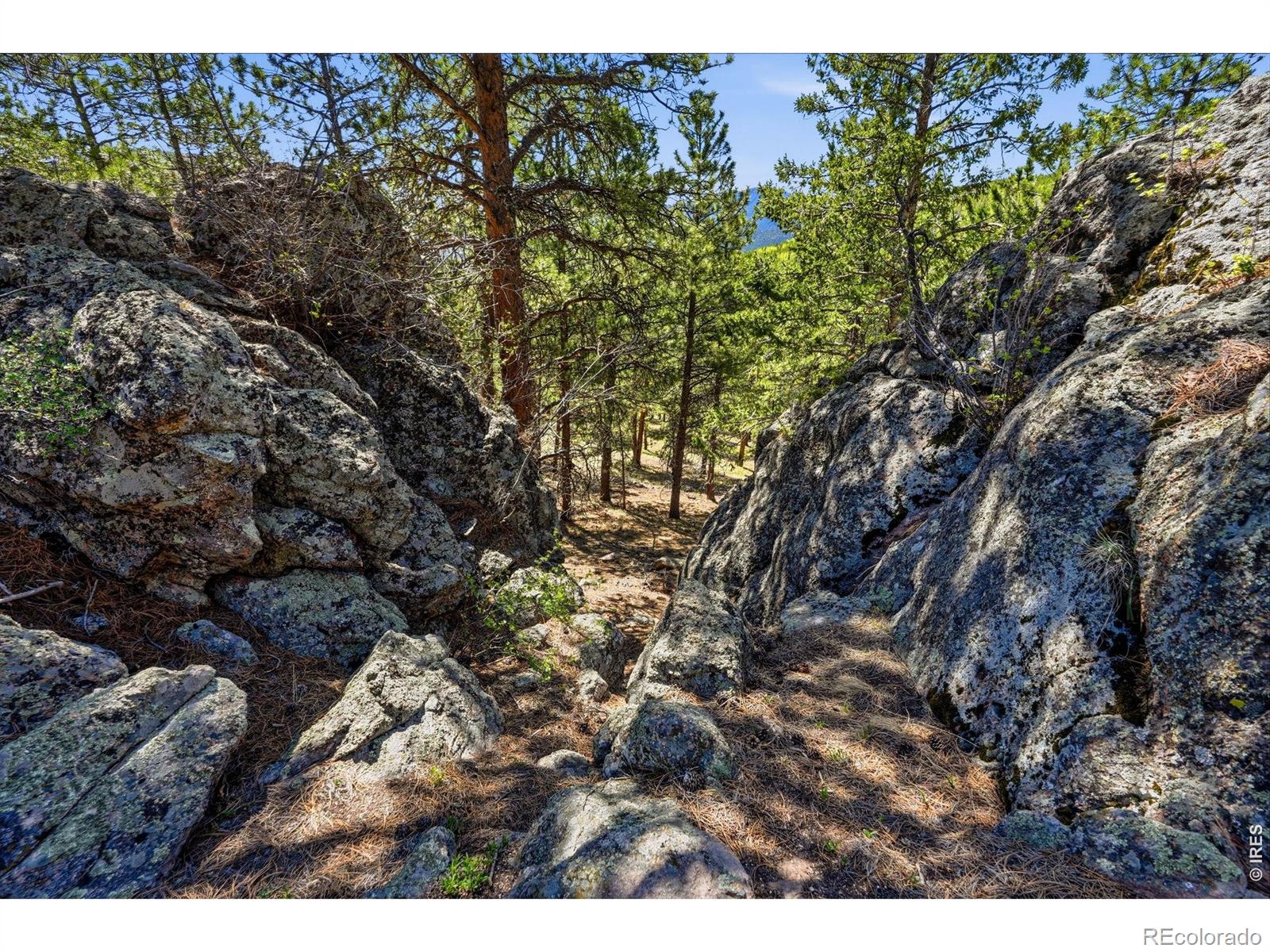 MLS Image #33 for 76  cairn court,drake, Colorado