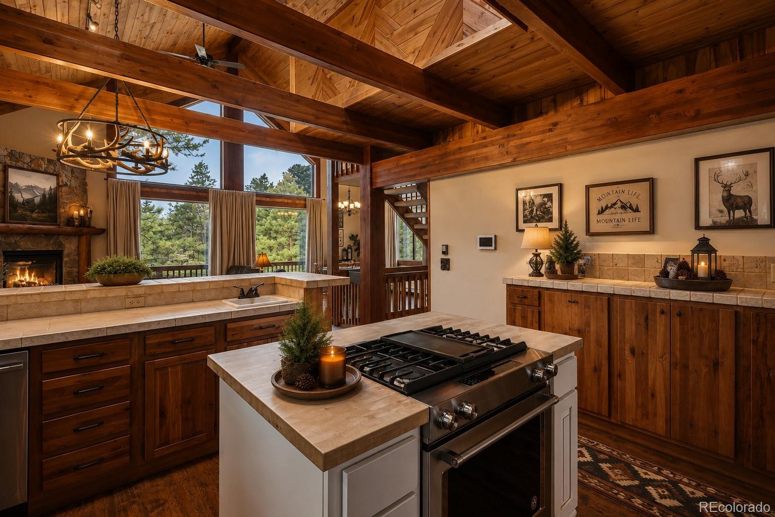 MLS Image #4 for 1280  chippewa trail,woodland park, Colorado
