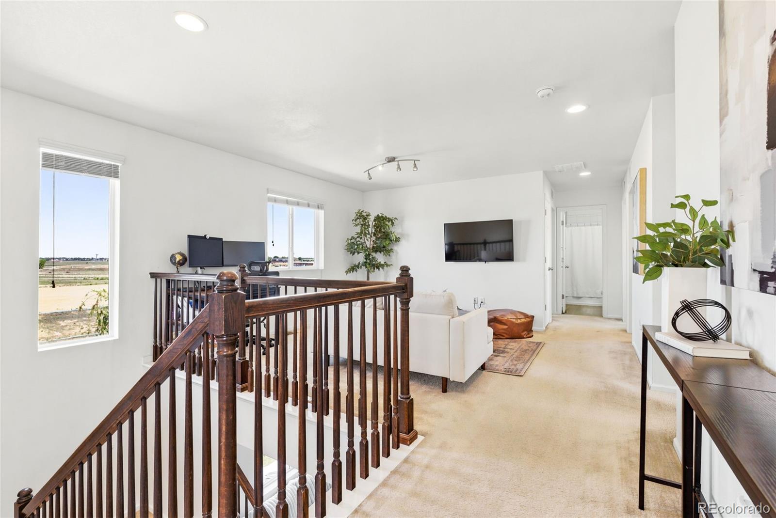 MLS Image #21 for 6516  copper drive,erie, Colorado