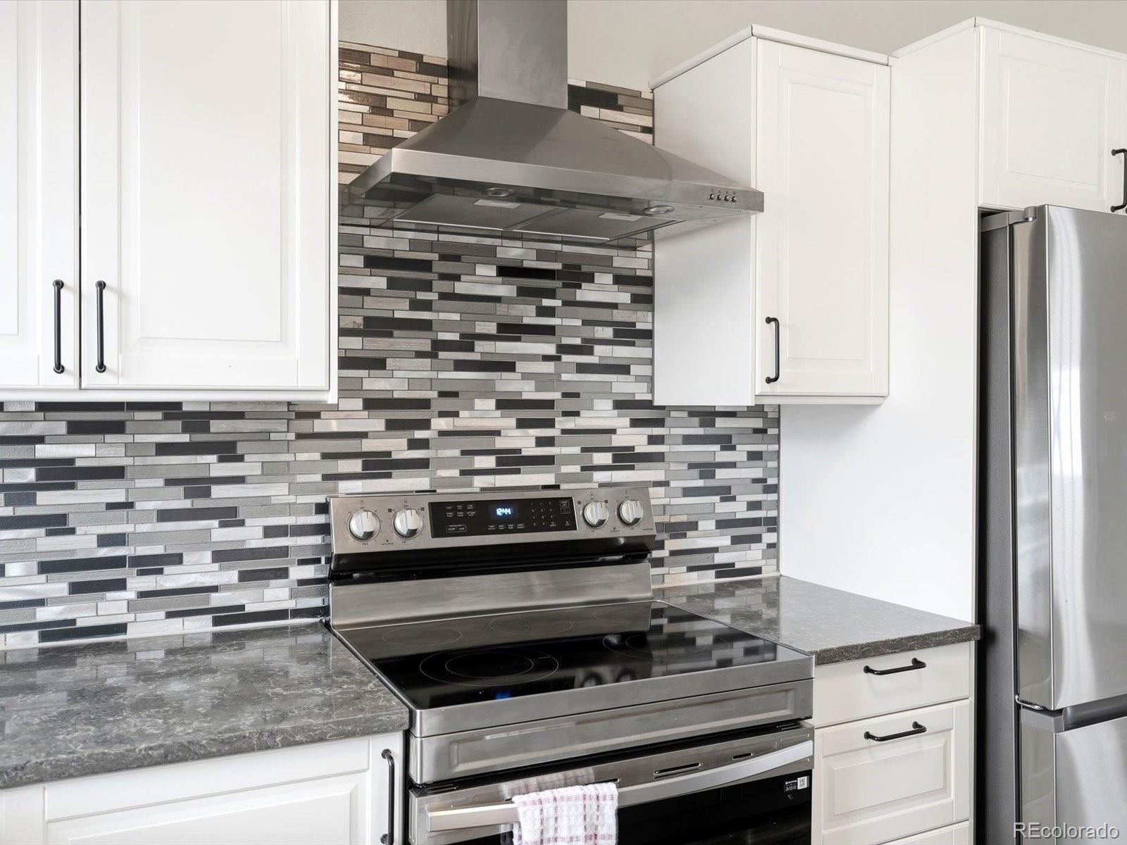 MLS Image #10 for 8442  blazing star place,parker, Colorado