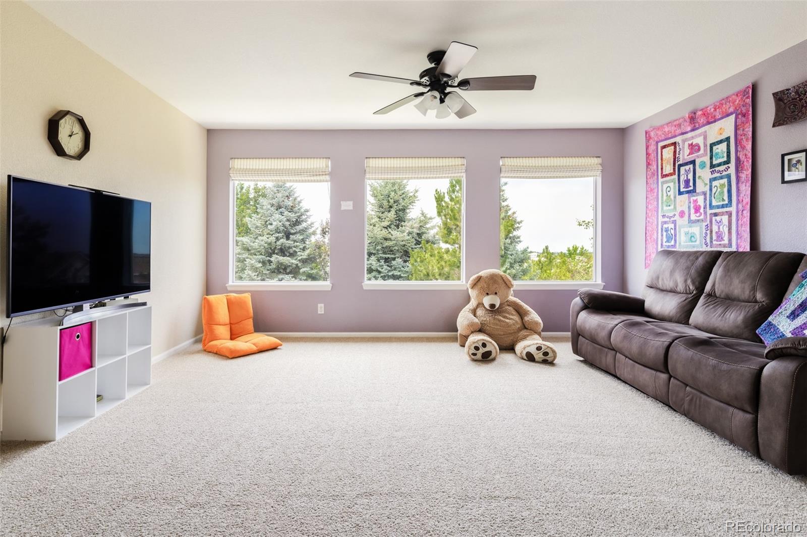 MLS Image #15 for 10231  rustic redwood lane,highlands ranch, Colorado