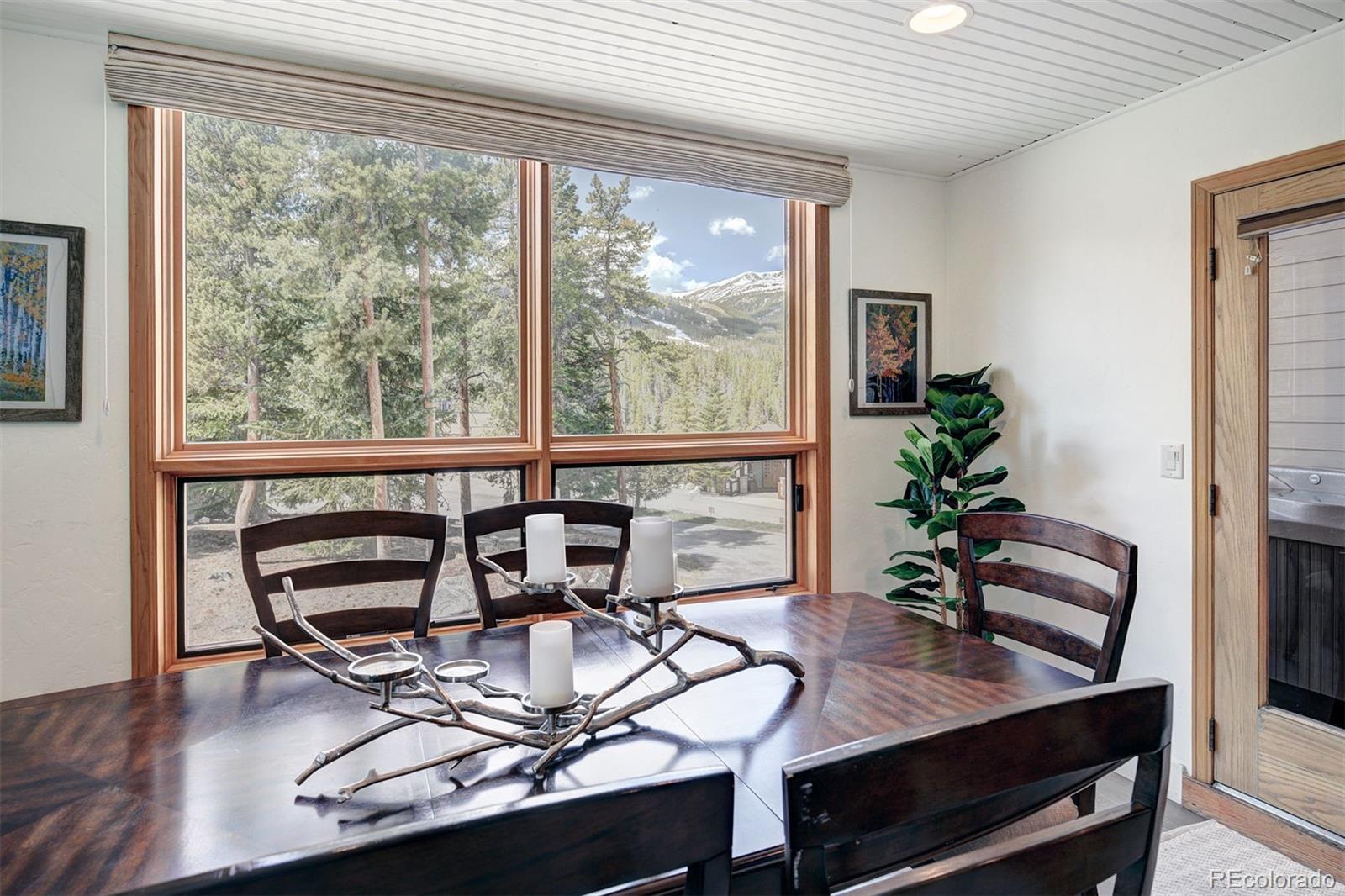 MLS Image #10 for 442  white cloud drive ,breckenridge, Colorado