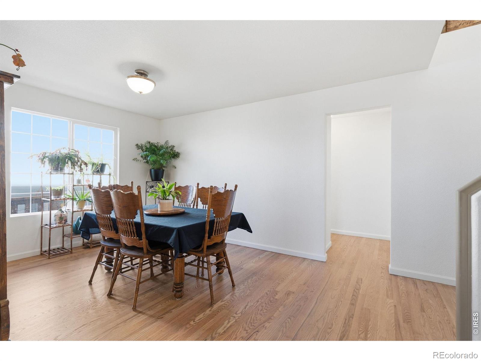 MLS Image #14 for 5269  nighthawk parkway,brighton, Colorado