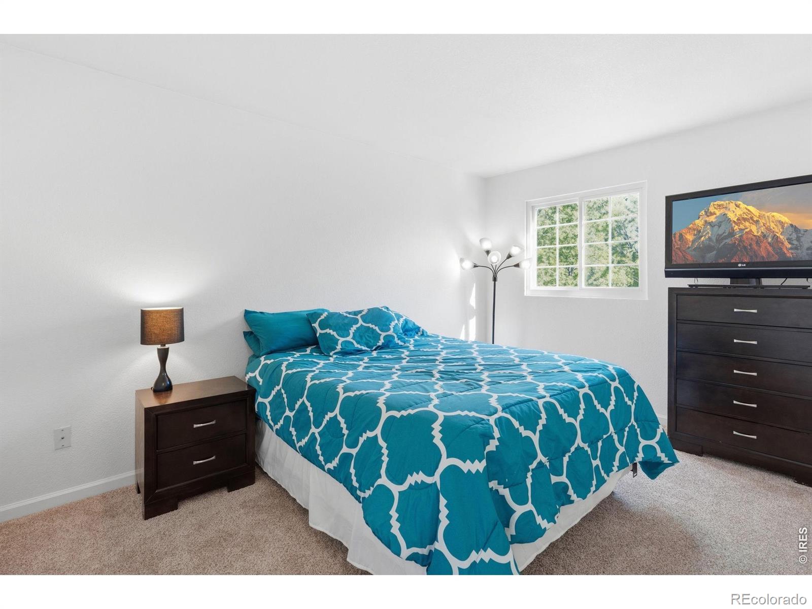 MLS Image #23 for 5269  nighthawk parkway,brighton, Colorado