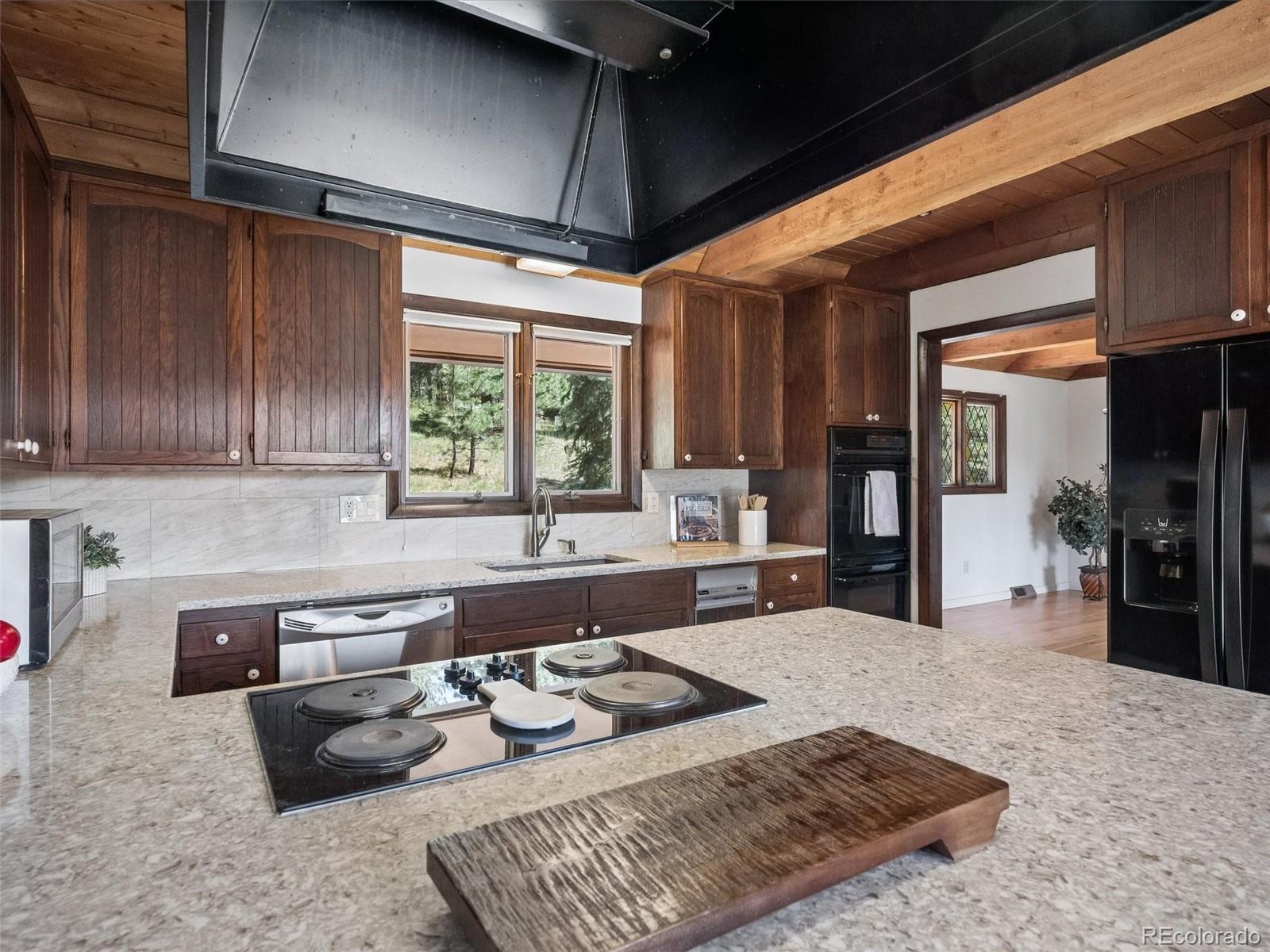 MLS Image #17 for 6480  kilimanjaro drive,evergreen, Colorado