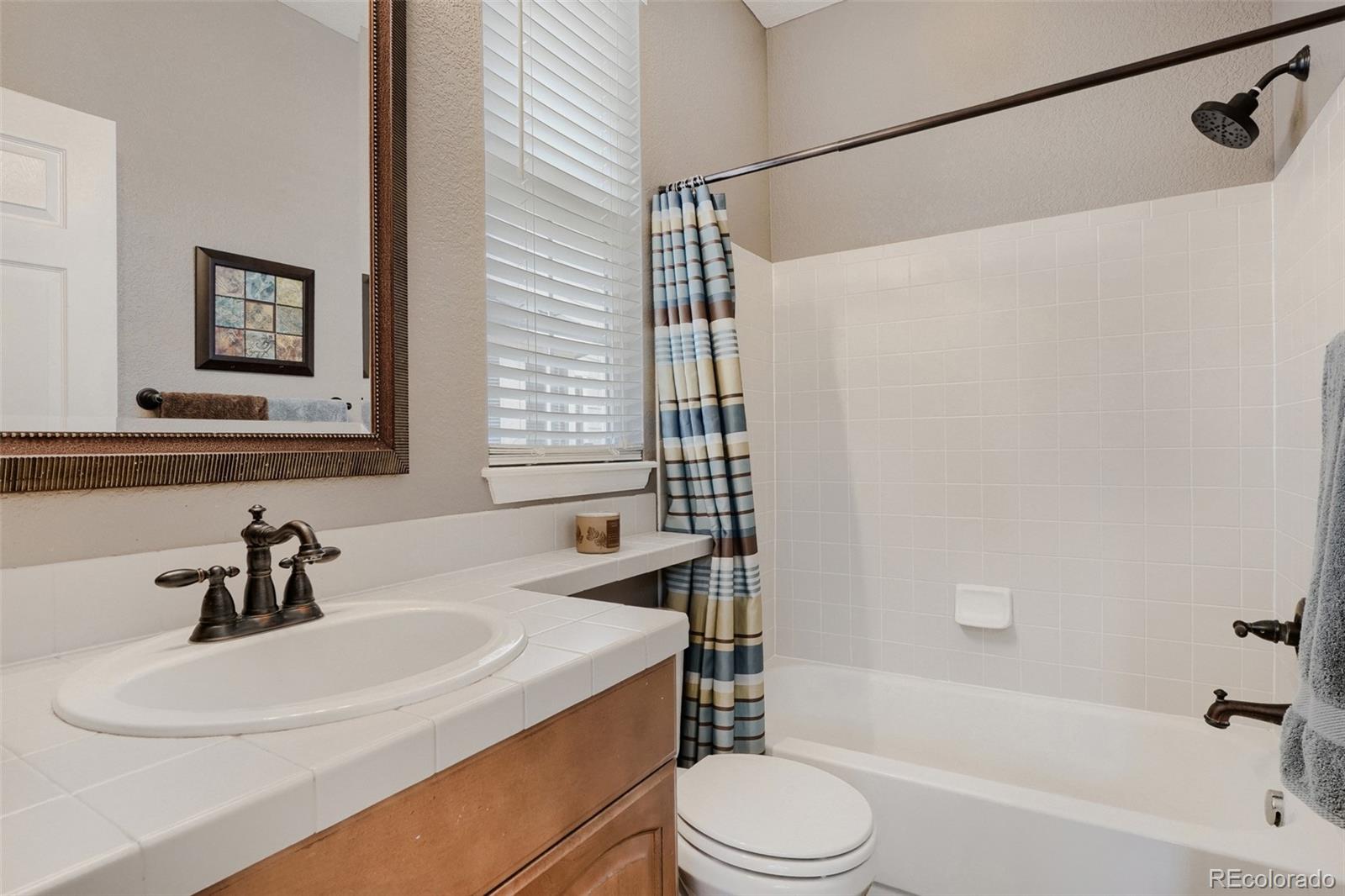 MLS Image #17 for 10616  briarglen circle,highlands ranch, Colorado