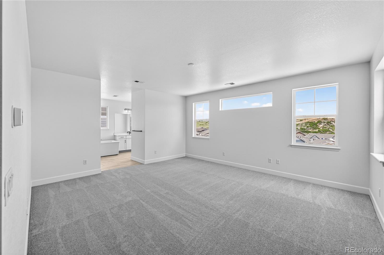 MLS Image #19 for 4039  descent street,castle rock, Colorado