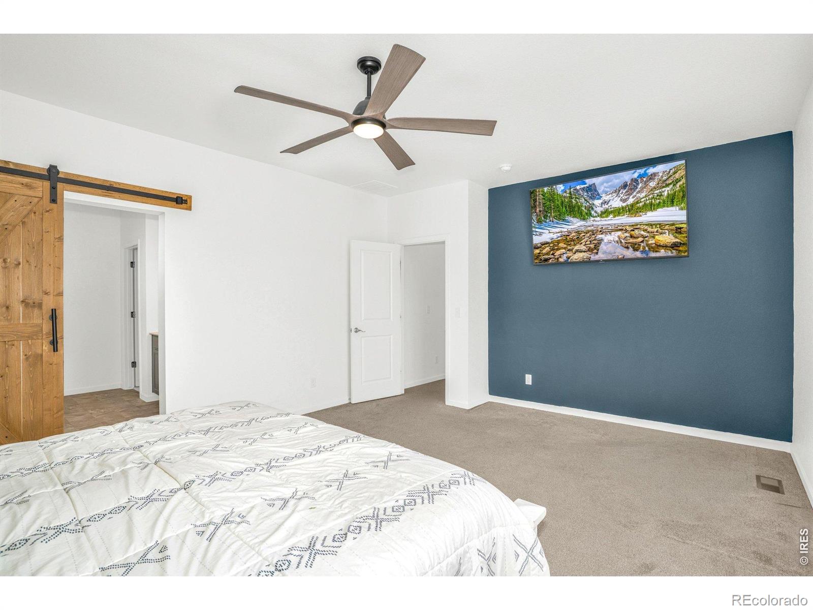 MLS Image #21 for 14549  normande drive,mead, Colorado