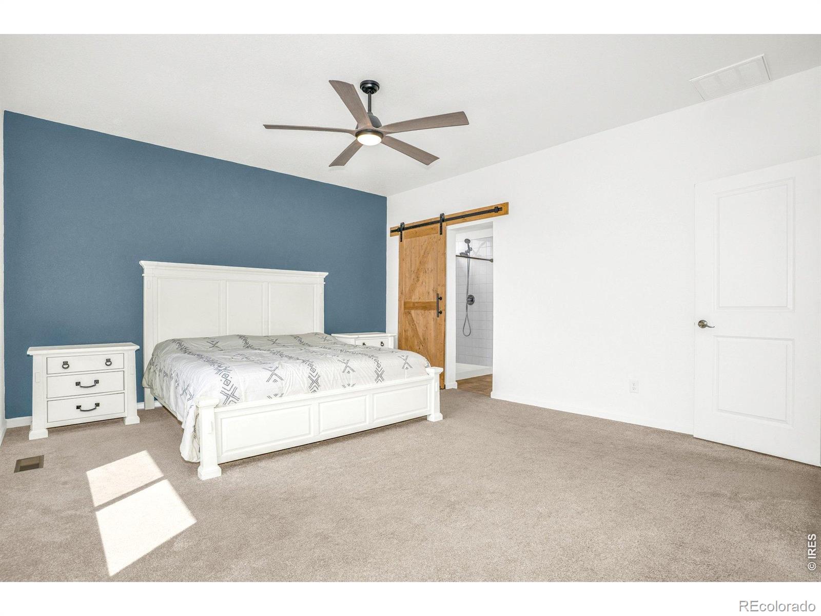 MLS Image #22 for 14549  normande drive,mead, Colorado