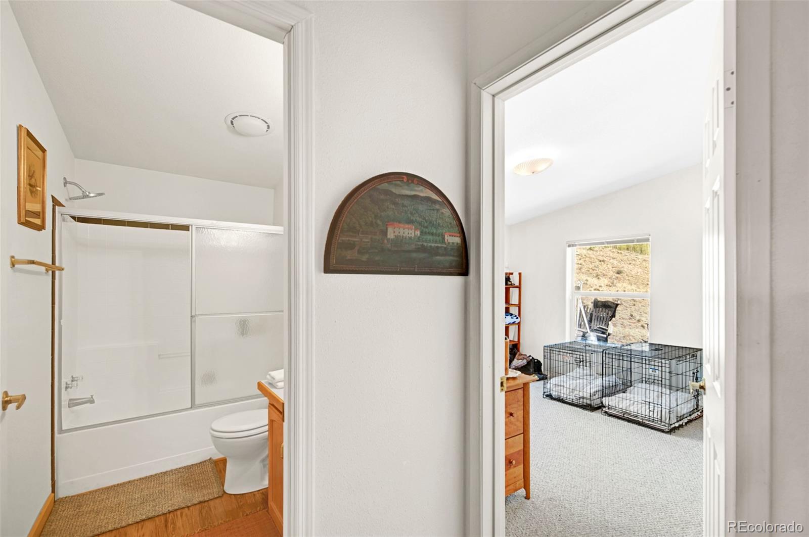 MLS Image #16 for 1819  snyder creek road,jefferson, Colorado
