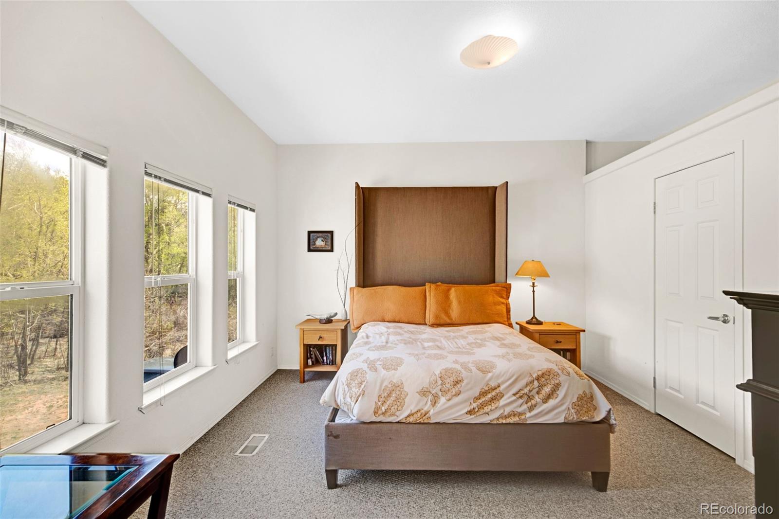 MLS Image #19 for 1819  snyder creek road,jefferson, Colorado
