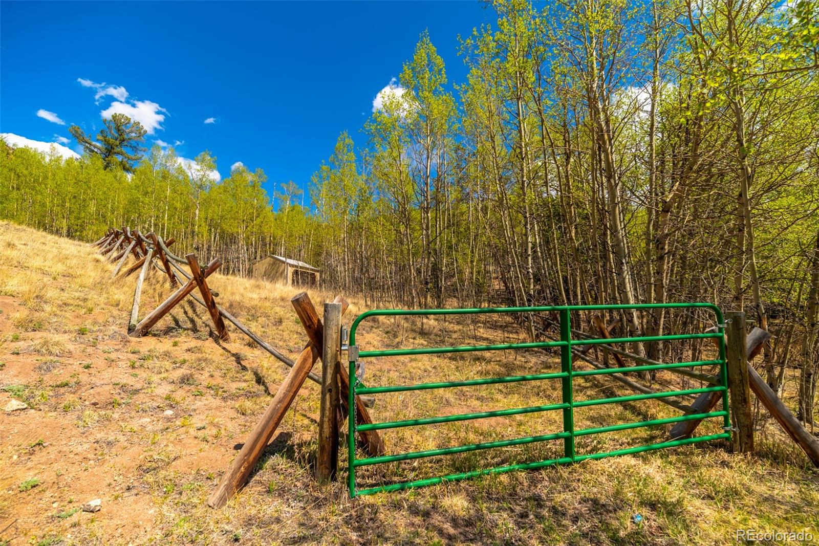 MLS Image #27 for 1819  snyder creek road,jefferson, Colorado
