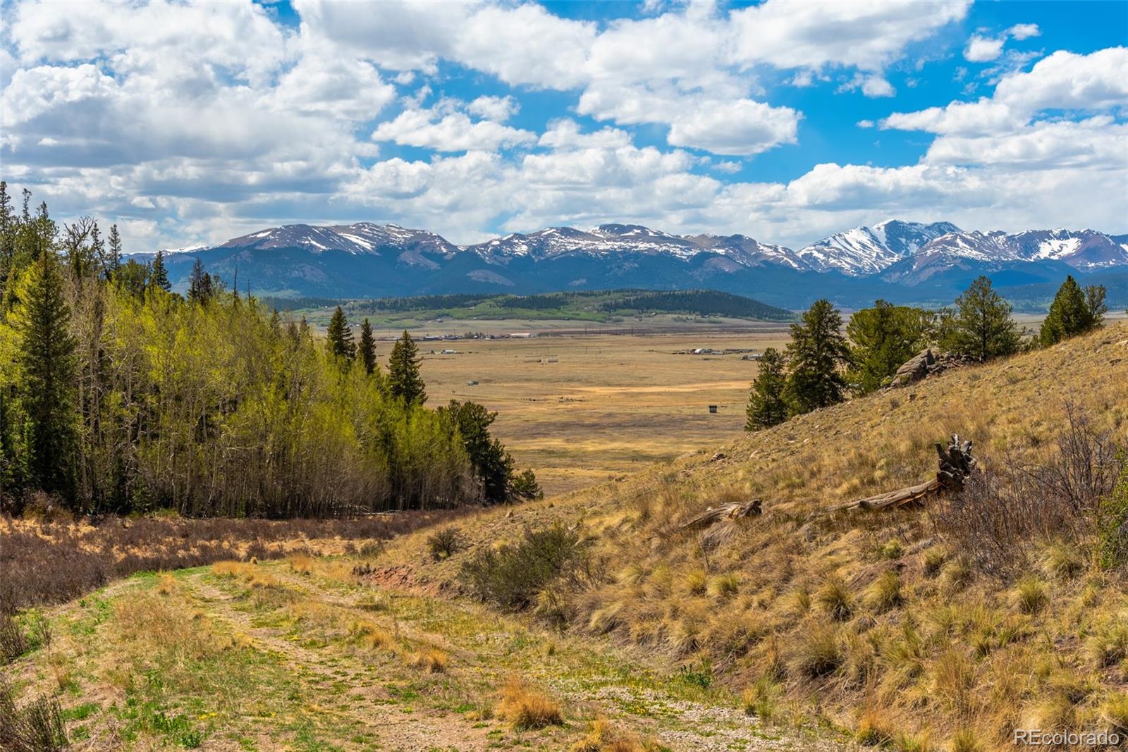 MLS Image #38 for 1819  snyder creek road,jefferson, Colorado