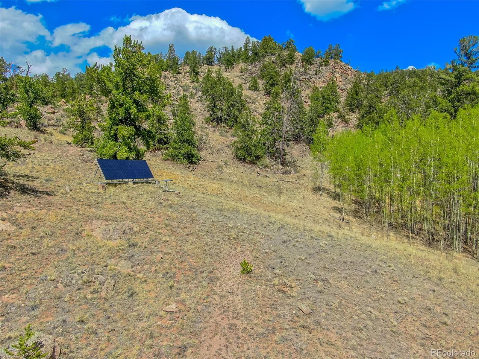 MLS Image #42 for 1819  snyder creek road,jefferson, Colorado