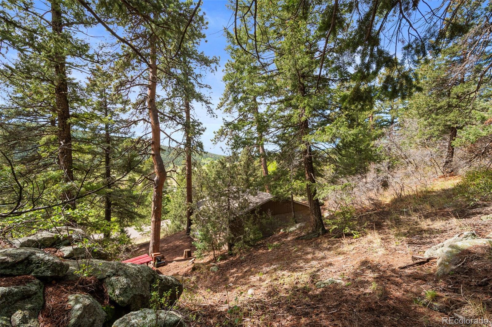 MLS Image #11 for 25845  wilkerson road,conifer, Colorado