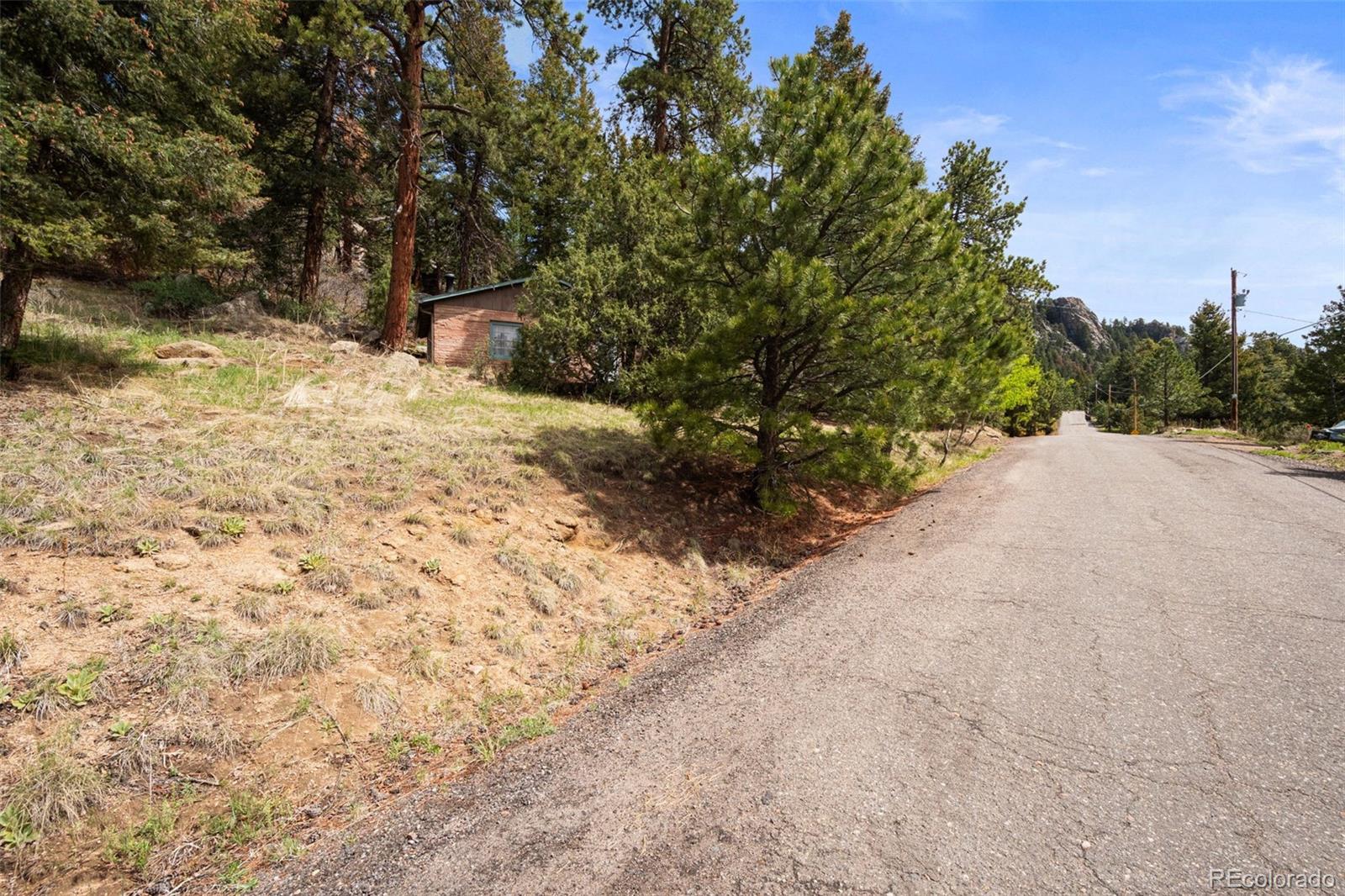 MLS Image #14 for 25845  wilkerson road,conifer, Colorado