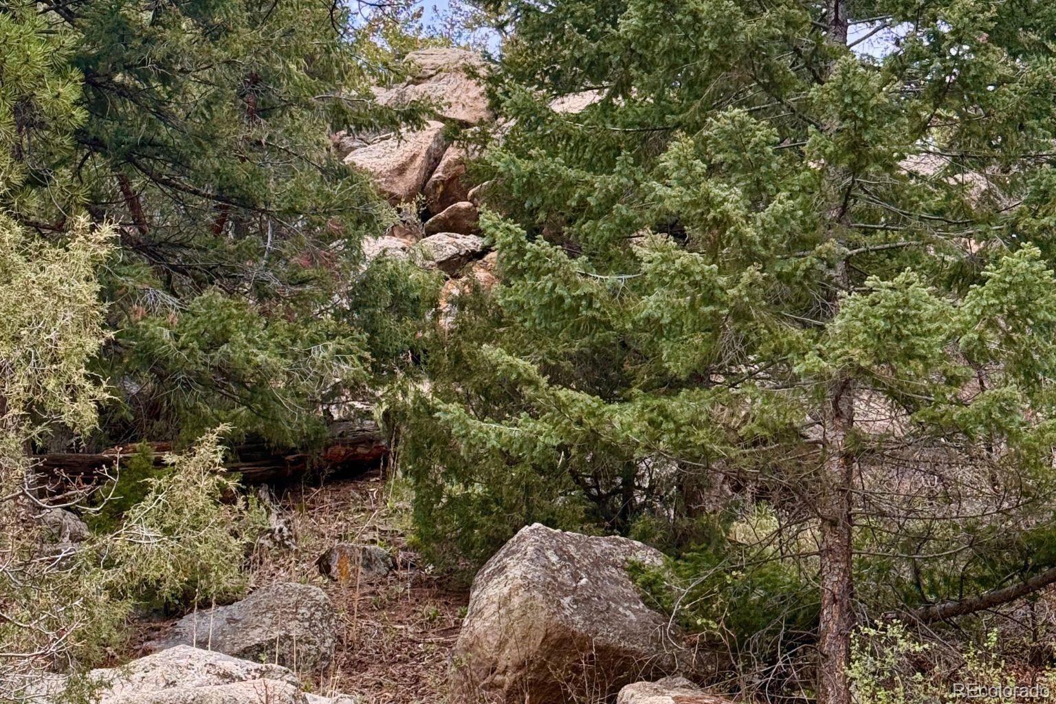 MLS Image #15 for 25845  wilkerson road,conifer, Colorado