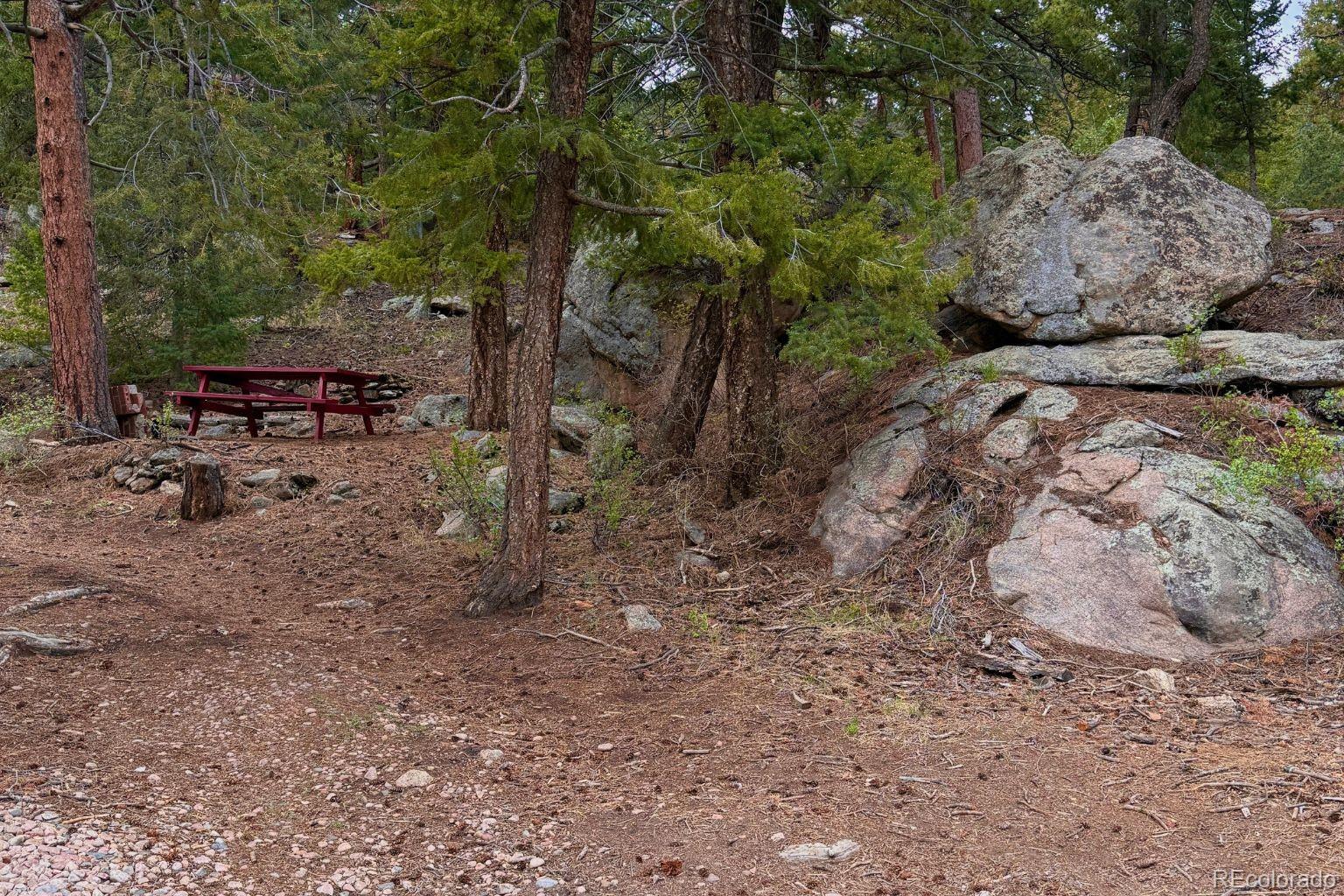 MLS Image #3 for 25845  wilkerson road,conifer, Colorado