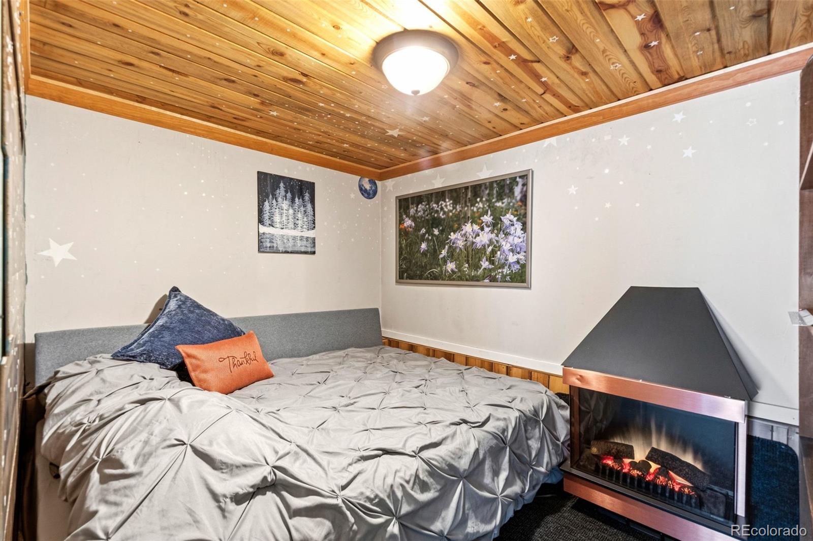 MLS Image #9 for 25845  wilkerson road,conifer, Colorado