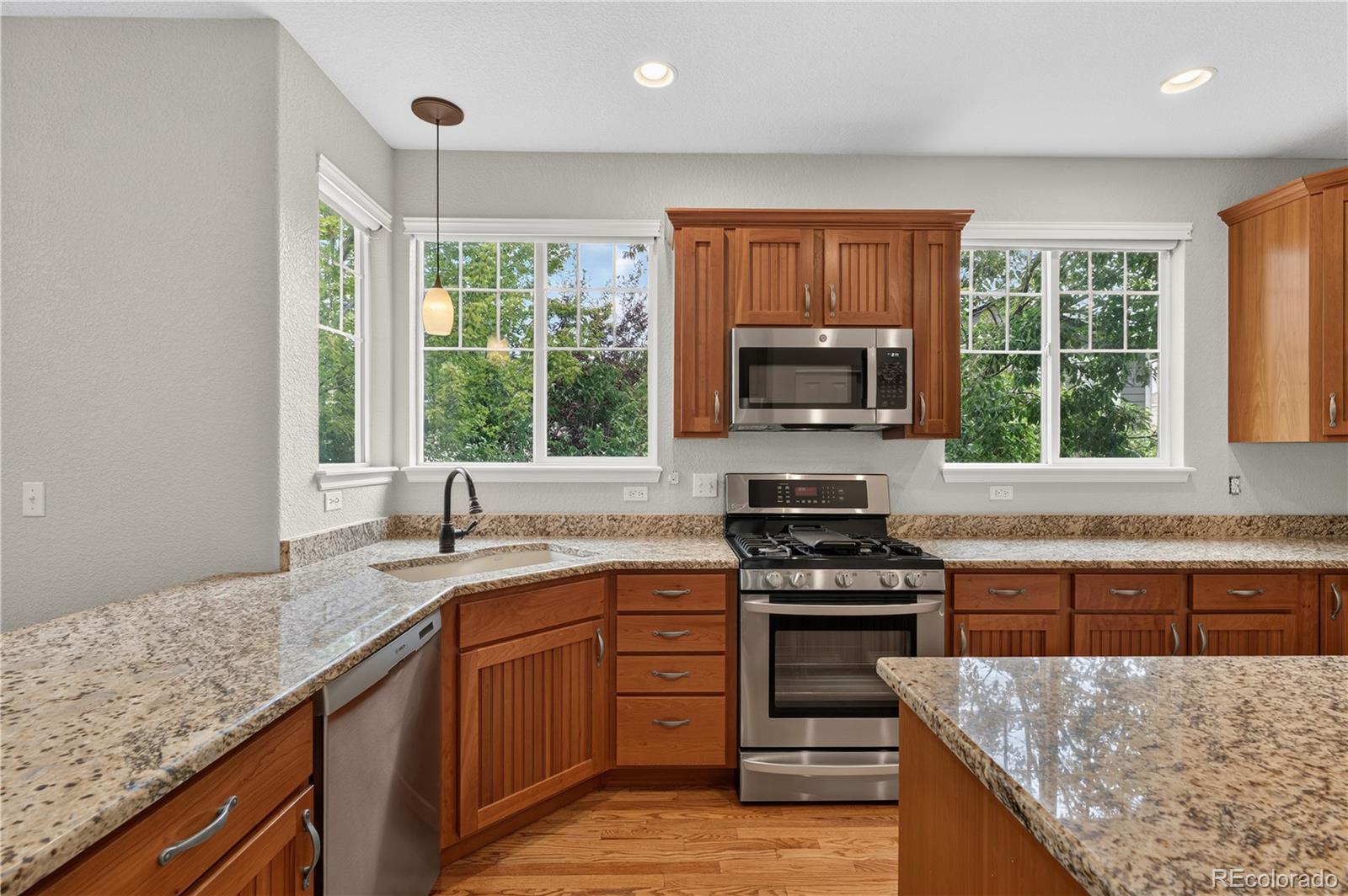 MLS Image #12 for 10672  riverbrook circle,highlands ranch, Colorado
