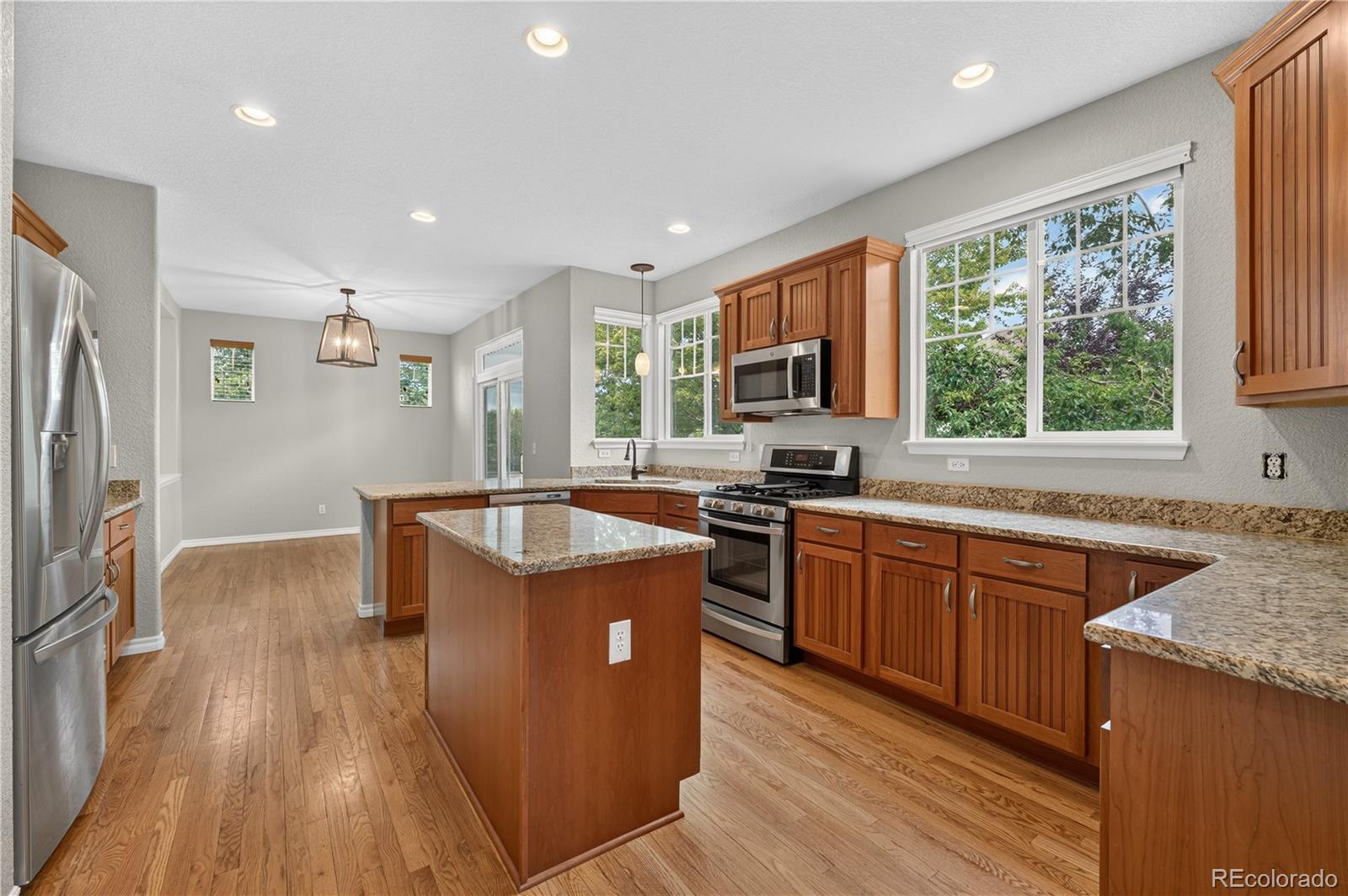MLS Image #13 for 10672  riverbrook circle,highlands ranch, Colorado