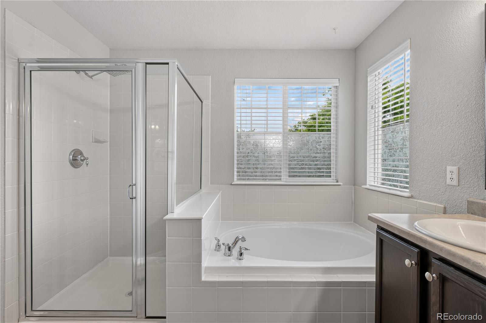MLS Image #24 for 10672  riverbrook circle,highlands ranch, Colorado