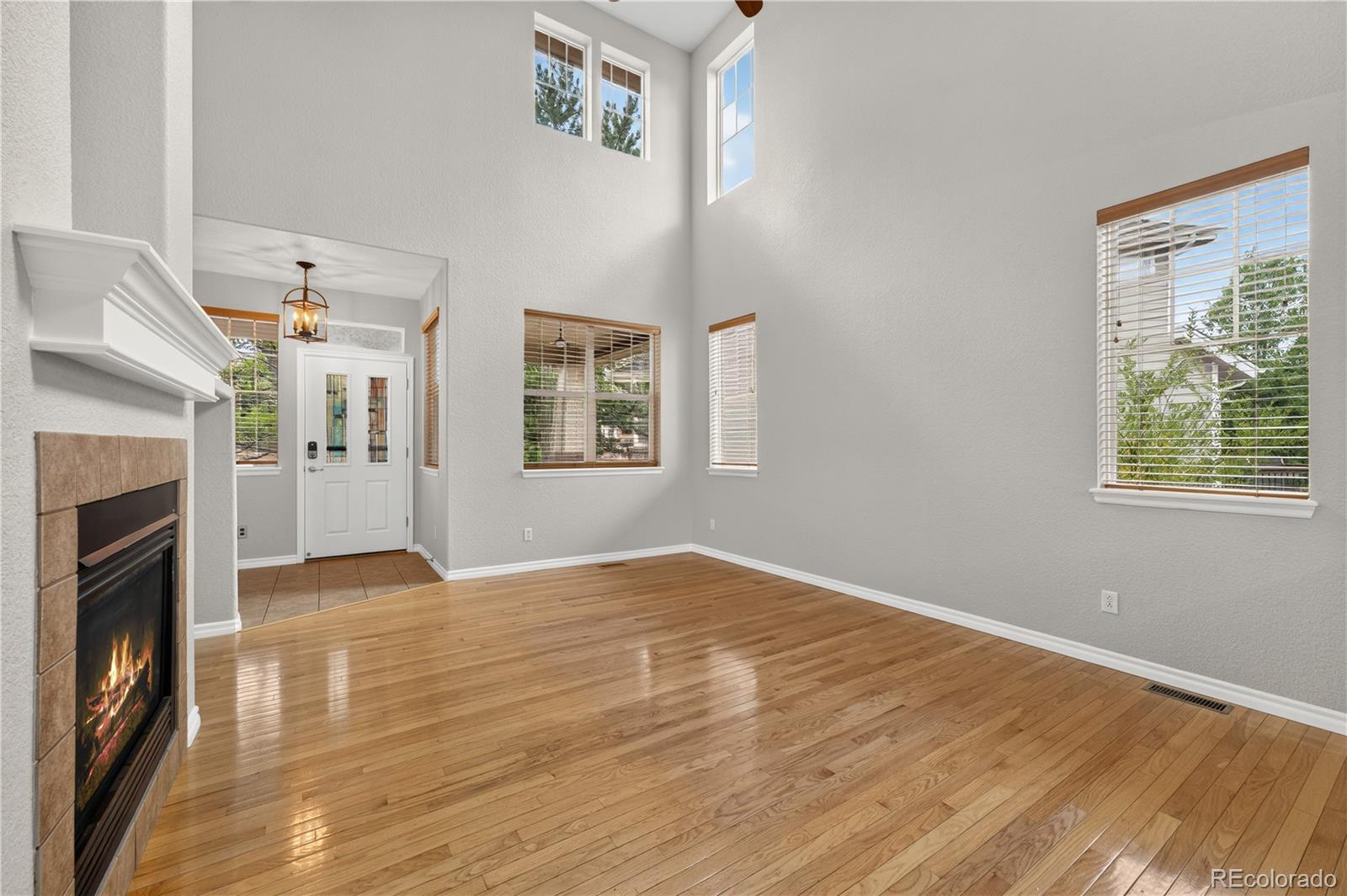MLS Image #5 for 10672  riverbrook circle,highlands ranch, Colorado