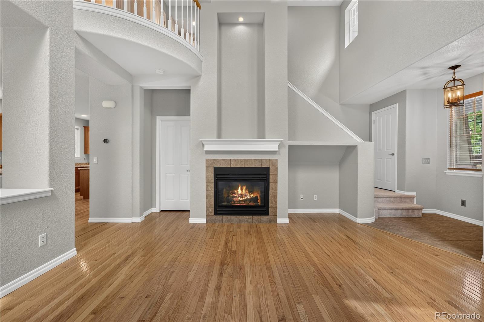 MLS Image #8 for 10672  riverbrook circle,highlands ranch, Colorado